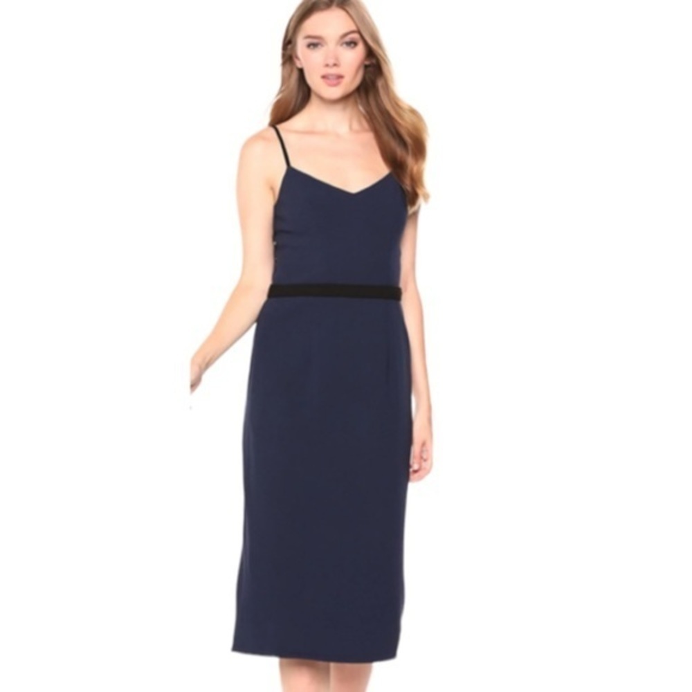 Dress the Population Emma Sleeveless Dress